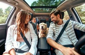 Family road trip